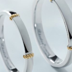 Group logo of Promise Rings - Give a Gift with significance